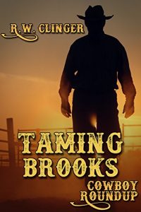 Baixar Taming Brooks (English Edition) pdf, epub, eBook
