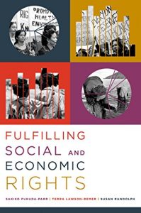 Baixar Fulfilling Social and Economic Rights pdf, epub, eBook