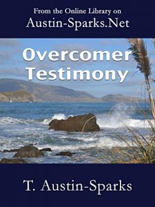 Baixar Overcomer Testimony (English Edition) pdf, epub, eBook