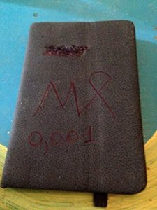 Baixar Mad Moon,te monto su e ju n castello co no stornello di Pizzo pdf, epub, eBook