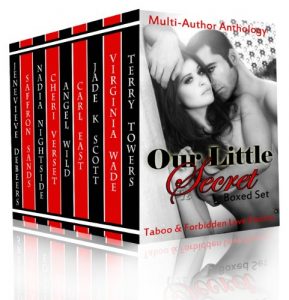 Baixar Our Little Secret: 10 story boxed set (Taboo And Forbidden Love Erotica) (English Edition) pdf, epub, eBook
