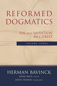 Baixar Reformed Dogmatics : Volume 3: Sin and Salvation in Christ pdf, epub, eBook