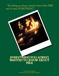 Baixar Everything You Always Wanted to Know About Fire (English Edition) pdf, epub, eBook