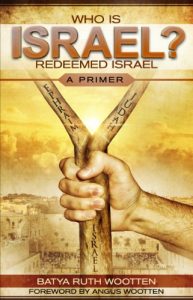 Baixar Who Is Israel? Redeemed Israel – A Primer (English Edition) pdf, epub, eBook