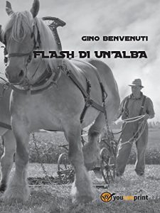 Baixar Flash di un’alba pdf, epub, eBook