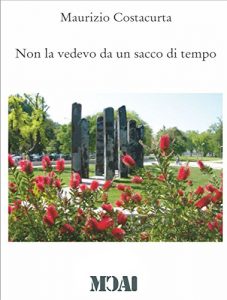 Baixar NON LA VEDEVO DA UN SACCO DI TEMPO: PRIMA PARTE (Italian Edition) pdf, epub, eBook