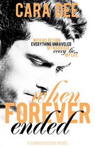 Baixar When Forever Ended (English Edition) pdf, epub, eBook