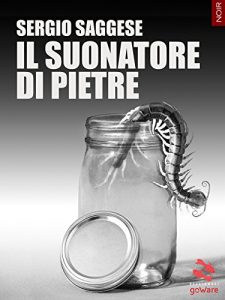 Baixar Il suonatore di pietre (Pesci rossi – goWare) (Italian Edition) pdf, epub, eBook