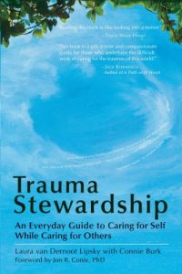 Baixar Trauma Stewardship: An Everyday Guide to Caring for Self While Caring for Others pdf, epub, eBook