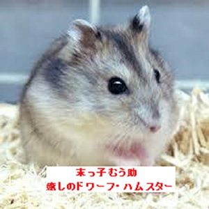 Baixar suekkomuusuke: iyashi no dowa-fu hamusutar (Japanese Edition) pdf, epub, eBook