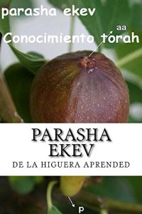 Baixar Parasha Ekev: SALID DE EN MEDIO DE ELLOS PUEBLO MIO (Spanish Edition) pdf, epub, eBook