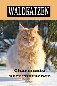 Baixar Waldkatzen: Charmante Naturburschen (German Edition) pdf, epub, eBook