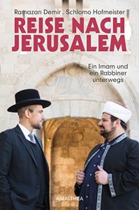 Baixar Reise nach Jerusalem: Ein Imam und ein Rabbiner unterwegs (German Edition) pdf, epub, eBook
