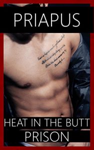 Baixar Heat in the Butt: Gay Prison Erotica (English Edition) pdf, epub, eBook