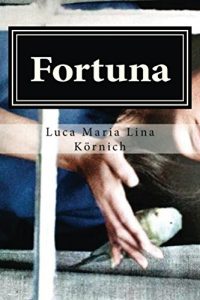 Baixar Fortuna: Stille auf dem Mond (German Edition) pdf, epub, eBook