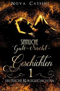 Baixar Sinnliche Gute-Nacht-Geschichten: Teil 1 (German Edition) pdf, epub, eBook