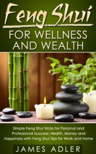Baixar Feng Shui For Wellness And Wealth: Simple Feng Shui Tricks For Personal And Professional Success (Feng Shui, Feng Shui for Beginners Book 1) (English Edition) pdf, epub, eBook