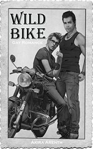 Baixar Wild Bike: 30s Gay Romance (Three GayStorys Bundle 2) (German Edition) pdf, epub, eBook
