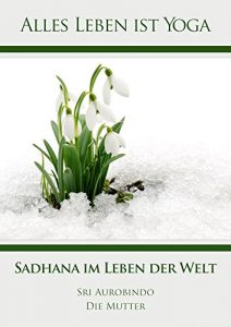 Baixar Sadhana im Leben der Welt (Alles Leben ist Yoga 13) (German Edition) pdf, epub, eBook