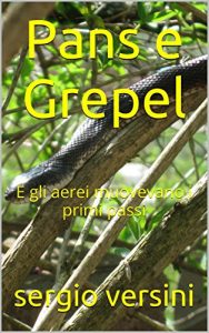 Baixar PANS e GREPEL: E gli aerei muovevano i primi passi (Italian Edition) pdf, epub, eBook