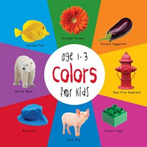 Baixar Colors for Kids age 1-3 (Engage Early Readers: Children’s Learning Books) pdf, epub, eBook