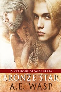 Baixar Bronze Star: A Veterans Affairs Novel (English Edition) pdf, epub, eBook