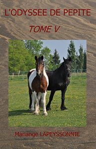 Baixar L’ODYSSEE DE PEPITE: TOME V (French Edition) pdf, epub, eBook