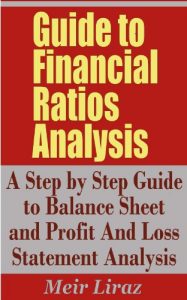 Baixar Guide to Financial Ratios Analysis – A Step by Step Guide to Balance Sheet and Profit and Loss Statement Analysis (English Edition) pdf, epub, eBook