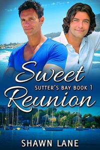 Baixar Sweet Reunion (Sutter’s Bay Book 1) (English Edition) pdf, epub, eBook