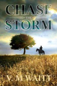 Baixar Chase the Storm (English Edition) pdf, epub, eBook
