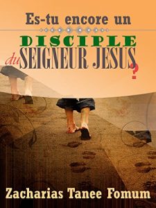 Baixar Es-tu Encore  Un Disciple Du Seigneur Jesus? (Aide Pratique Pour Les Vainqueurs) (French Edition) pdf, epub, eBook