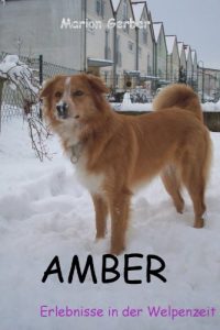 Baixar AMBER – Erlebnisse in der Welpenzeit (German Edition) pdf, epub, eBook