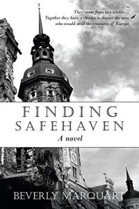 Baixar Finding Safehaven pdf, epub, eBook