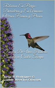 Baixar Relacion En Pareja Duraderas y En Armonia Versos Poemas y Prosas       Facetas De Una Historia Contada en Cuatro Tiempo: Facetas De Una Vida Contada En Cuatro Tiempo (Spanish Edition) pdf, epub, eBook