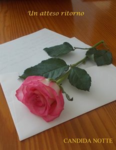 Baixar Un atteso ritorno pdf, epub, eBook