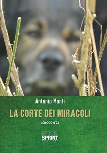 Baixar La corte dei miracoli pdf, epub, eBook