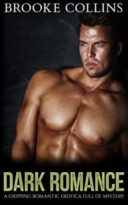 Baixar Dark Romance: A Gripping Romantic Erotica Full of Mystery (Dark romance, Romance Erotica, Romantic Mystery Book 1) (English Edition) pdf, epub, eBook