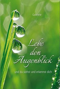 Baixar Lebe den Augenblick: und Du siehst und erkennst Dich (German Edition) pdf, epub, eBook
