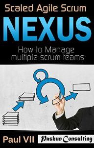 Baixar Scaled Agile Scrum: Nexus: How to Manage multiple scrum teams (scaled agile, scrum master, scrum of scrums, agile software development, agile program management) (English Edition) pdf, epub, eBook