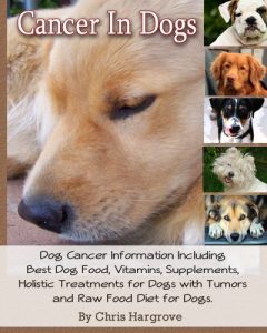Baixar Cancer In Dogs. Dog Cancer Information Including Best Dog Food, Vitamins, Supplements, Holistic Treatments for Dogs with Tumors and Raw Food Diet for Dogs. (English Edition) pdf, epub, eBook