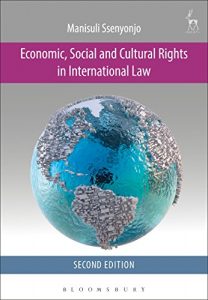 Baixar Economic, Social and Cultural Rights in International Law pdf, epub, eBook
