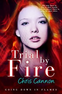Baixar Trial By Fire (Going Down in Flames) pdf, epub, eBook