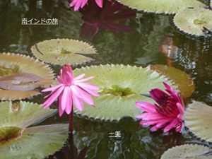 Baixar sout india a trip (Japanese Edition) pdf, epub, eBook