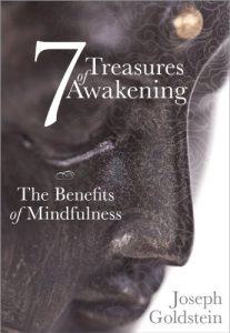 Baixar 7 Treasures of Awakening: The Benefits of Mindfulness pdf, epub, eBook