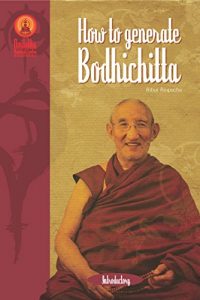 Baixar How to Generate Bodhicitta (English Edition) pdf, epub, eBook