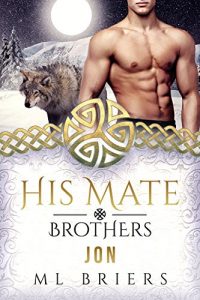 Baixar His Mate- Brothers- Jon (Book Two of Lyle and Abe) (English Edition) pdf, epub, eBook