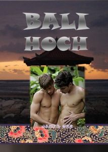 Baixar Bali Hoch (German Edition) pdf, epub, eBook