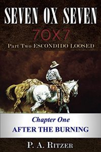 Baixar After the Burning: Chapter One of Escondido Loosed (Seven Ox Seven Part Two Book 1) (English Edition) pdf, epub, eBook