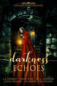 Baixar Darkness Echoes: A Spooky YA Short Story Collection (English Edition) pdf, epub, eBook