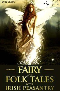 Baixar FAIRY AND FOLK TALES OF THE IRISH PEASANTRY (Sixty-Four Celtic Myth and Legend) – Annotated Fairy Tale Origins (English Edition) pdf, epub, eBook